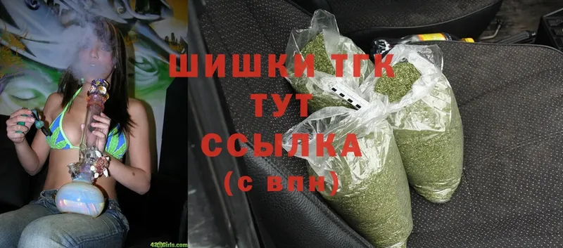 Каннабис OG Kush  Полевской 